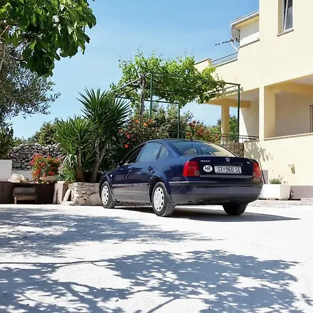 Ivana * سيفيد